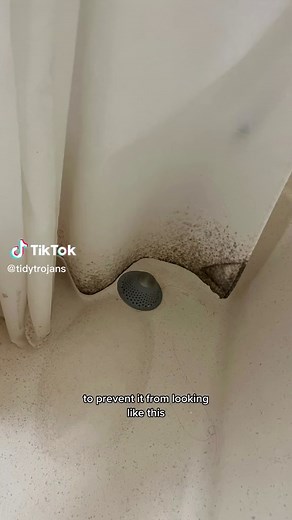 The pink is actually from a bacteria (not harmful in small quantities) and is easily washed out #cleantok#cleaningtips#collegestudent#checklist#todo