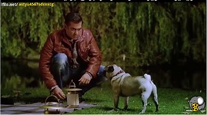 فیلم سینمایی هندی یک ببر EK The Tiger دوبله فارسی اکشن جاسوسی عاشقانه جنگی هیجانی سلمان خان