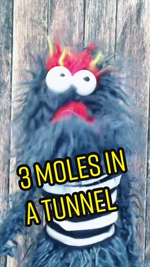 3 Moles in a Tunnel Joke Explained