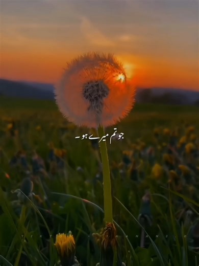 Embracing Love Through Music: A Journey of Connection