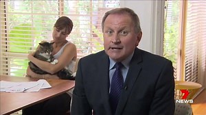 Figures show more and more people are taking out pet insurance. A new local study has found more than 60% of all claims are for dogs, while it seems cats are their own worst enemies. www.7News.com.au #Cats #Dogs #7News #Adelaide | 7NEWS Adelaide