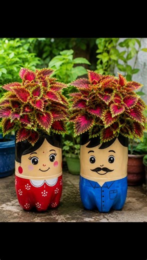 Diy Coleus propagate #coleus plant care #Diy Garden#monsoon #trending