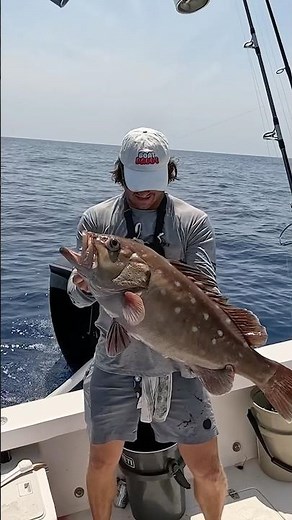 HUGE Snowy Grouper on 20lb braid! #fishing #short