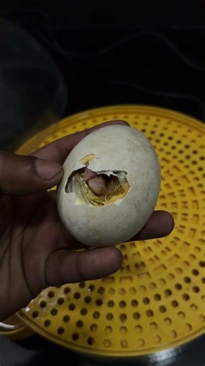 Big egg about to hatch now !