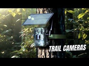 Trail Camera - Best Trail Cameras in 2026 | Top Trail Cameras