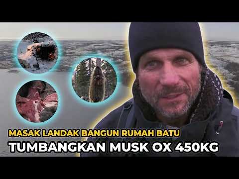 Tonton Kisah Roland Alone Berburu Musk Ox 450kg Masak Landak Bangun Rumah Batu Mewah | Nafas Liar