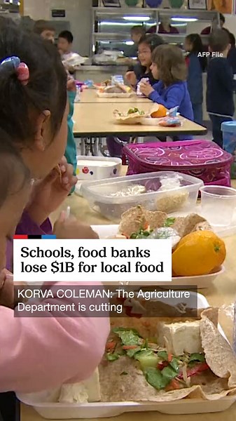 USDA Ends Pandemic Food Programs Affecting Schools and Farmers