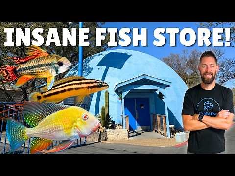You’ve Never Seen a Fish Store Like THIS! (Austin Aqua Dome Tour)