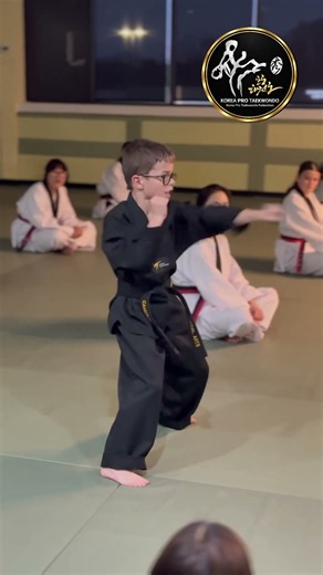 Pro Taekwondo Eum Yang Su | Black Belt Hand Techniques 1, 2 & 3