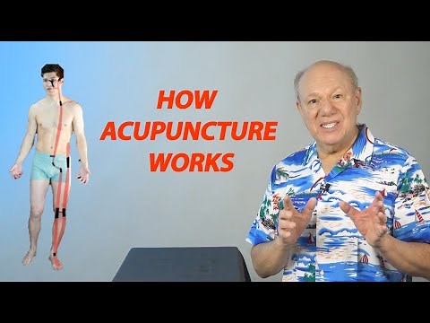 How Acupuncture Works