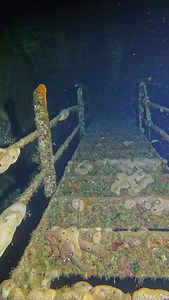 🌊 Dive. Discover. Develop. 🌊 The Zenobia never gets old. No matter how many times I descend her decks, there’s always something new to find — a different perspective, a flash of light through a broken doorway, a curious grouper that’s decided to follow along 🐠✨ Here in Larnaca, Cyprus, we’re incredibly lucky. The Zenobia sits just a few minutes from shore, resting on her side in crystal-clear water 🌊 A 172-metre Swedish ferry turned artificial reef, full of history and life 🛳️🐟 It’s a wrec
