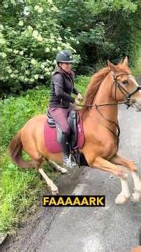 Horse Fears a Donkey - Ozzy Man Reviews