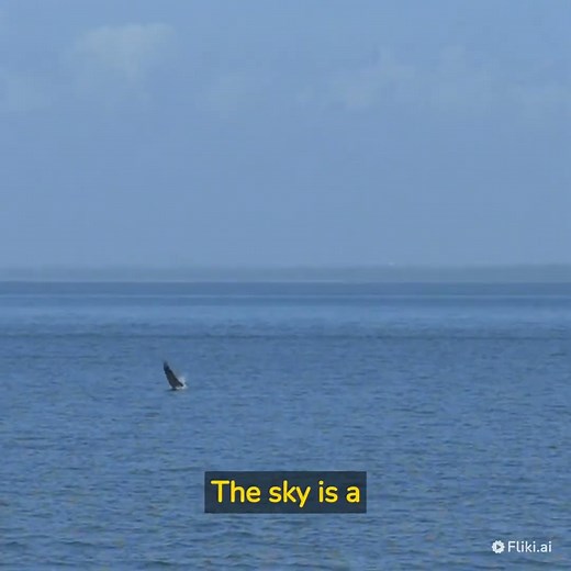 Mesmerizing Footage of a Bird's Spectacular Diving Skills in the Ocean
