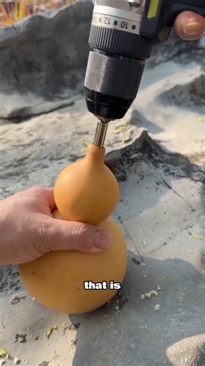 Making a water pot from shells #water #container