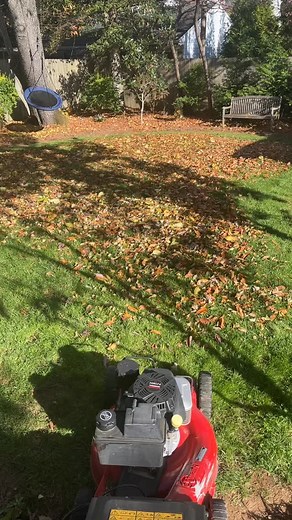 Why rake leaves when you could do this? 朗 #rake #leaves #mower #landscape #landscaper #work #fyp #lawn #fun #lexingtonky #xyzbca | Hay Rodgers | Facebook