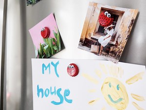 How to make ladybug fridge magnets