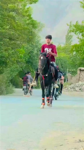 Heartwarming Moments of Horse Love and Friendship