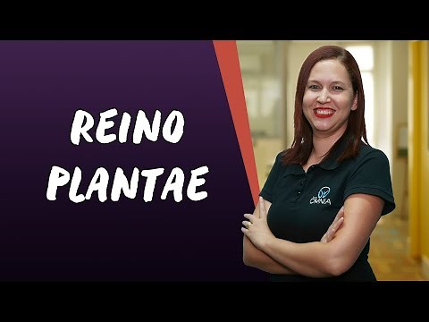 Kingdom Plantae - Brazil School