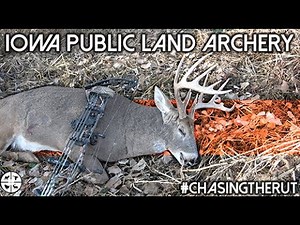 Iowa Public Land Archery Hunt Is this a 2nd Chance at the Buck of a Lifetime?