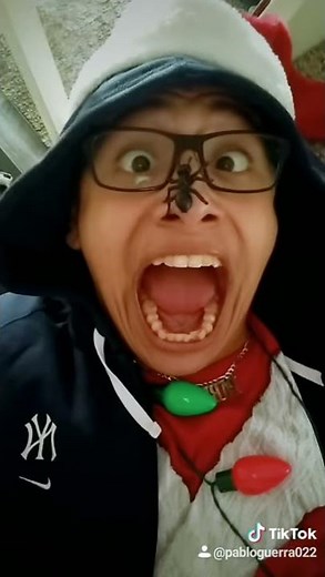 Tokyo: Home Alone Marv Screaming