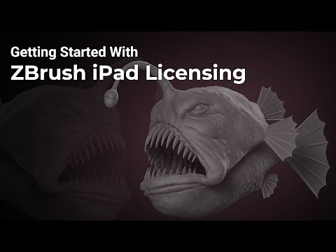 2 - ZBrush for iPad - Licensing