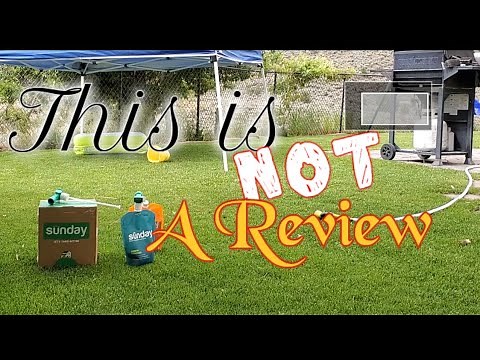 Who Are Sunday Lawn Care Subscriptions Best For: My Review & Take