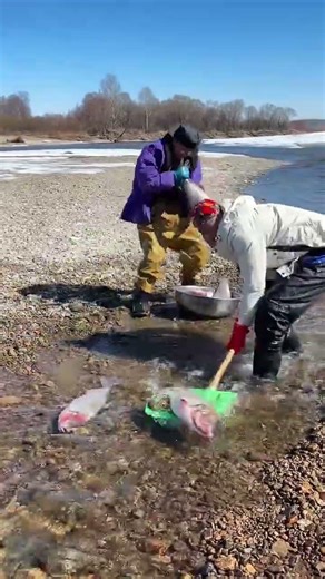 Amazing Survival Skills: Innovative Method of Fishing Through Ice in Extreme Winter Conditions