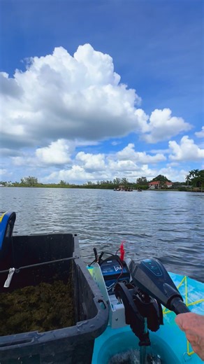 34K views · 405 reactions | Check out our new pooper scooper! We are excited to add a Go Boat to the team  We have always strived to help keep the beach and waters clean over the years 李 and we are so thankful to be able to use this area with our rescue horses to give customers an experience of a life time! | Florida Beach Horses | Facebook