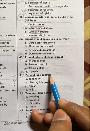 Understanding Brain Lobes Functions and Anatomy