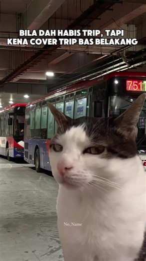 Layan je la 🫩🫩 #foryou #lasttrip #fyp #pilotdarat #rapidkl