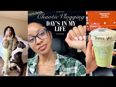 Life Lately | My Life Is Chaos but Here’s The Vlog Anyway | Evan Renee