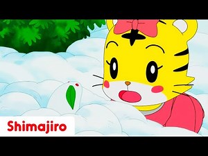 Hannah and the Snow Rabbit ❄️🐰✨| Winter Snow Special Compilation | Shimajiro