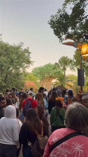 A First Look At The New Zootopia: Better Zoogether Show In Disney’s Animal Kingdom 🥕 👓 #betterzoogether #zootopia2 #animalkingdom #disneyparks | RideRover