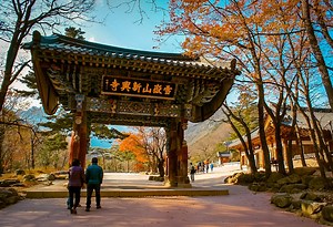 South Korea In November 2025 | Weather + Best Festivals In Seoul And Beyond » Travel-Stained