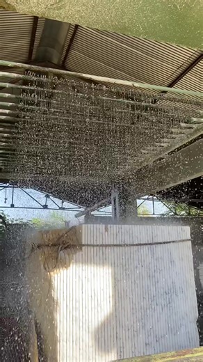 G S Marble (@g.s.marble)’s videos with original sound - G S Marble