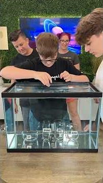 Drop the coin and win the prize