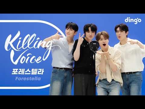 Forestella's Killing Voice Live! – Despacito, Shape of You, Armageddon, Angel, Piano Man | Dingo ...