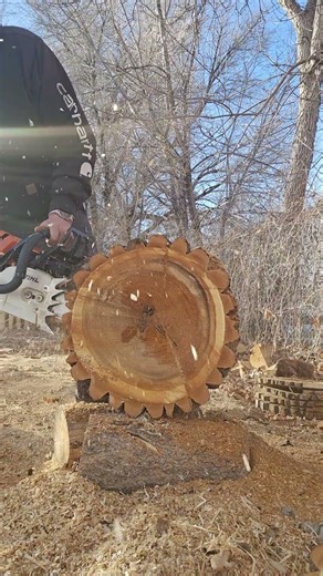 044 10mm slant fin! strong work build!!