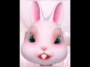 Zhiyun Smooth 4: Mobile Stabilizer