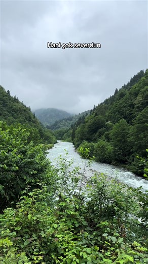 Yazıktır, günahtır… #keşfetteyizzz #karadenizşarkıları #karadeniz #rize #taşacakbudeniz