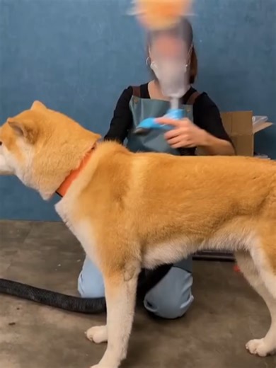 #lifehacks #learnontiktok #diy #diyproject | life hacks