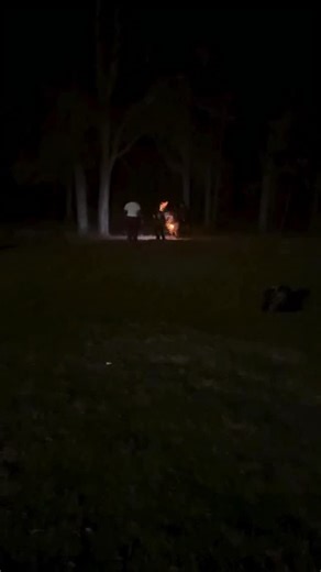 Tiffany Curry on Instagram: "🤣🤣🤣🤣 #bigmamakids #Godisgood #singlemom #mamapoopoo #bigmama"