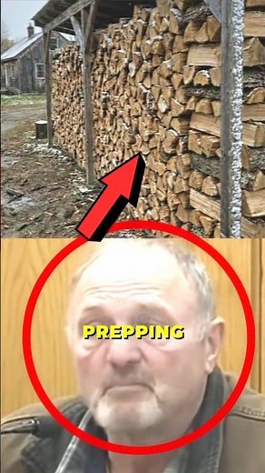 State Fines Man for Having "Too Much Firewood" 🪵⚖️