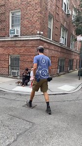 Lexi and Eloise, two girls in the city #nyc #dogphotographer | The Dogist Fan