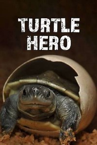 Turtle Hero - Movie