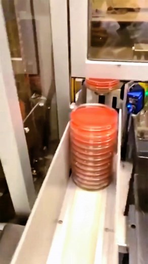 Microbiology ( Histo Lab ASMR )😎😍❤ You people like more sounds like this?? this is how it sound when a Giant start working 😁 #asmr #medical #student #hospital #fyp #fypdong #meditation #uti #tiktokchefs #ASMR