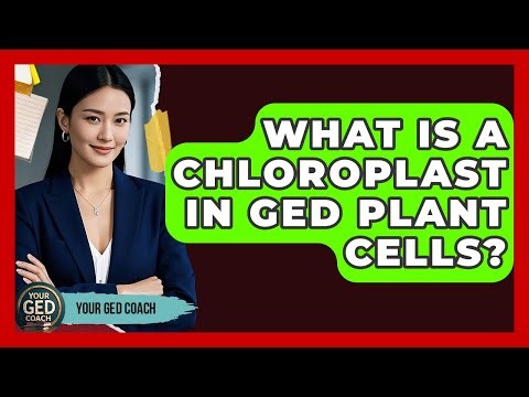 What Is A Chloroplast In GED Plant Cells? - Your GED Coach