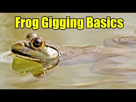 Frog Gigging Basics & How to Clean and Cook Frog Legs