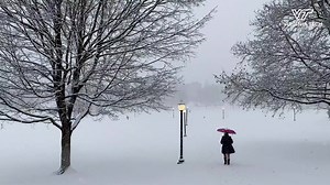104K views · 4K reactions | What a beautiful start to 2020! ❄️ | Virginia Tech | Facebook