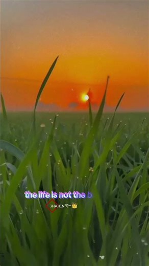 #viral uploading Islamic content#fyp #reelkarofeelkaro #viralreels #foryou #islamic #naat #quran